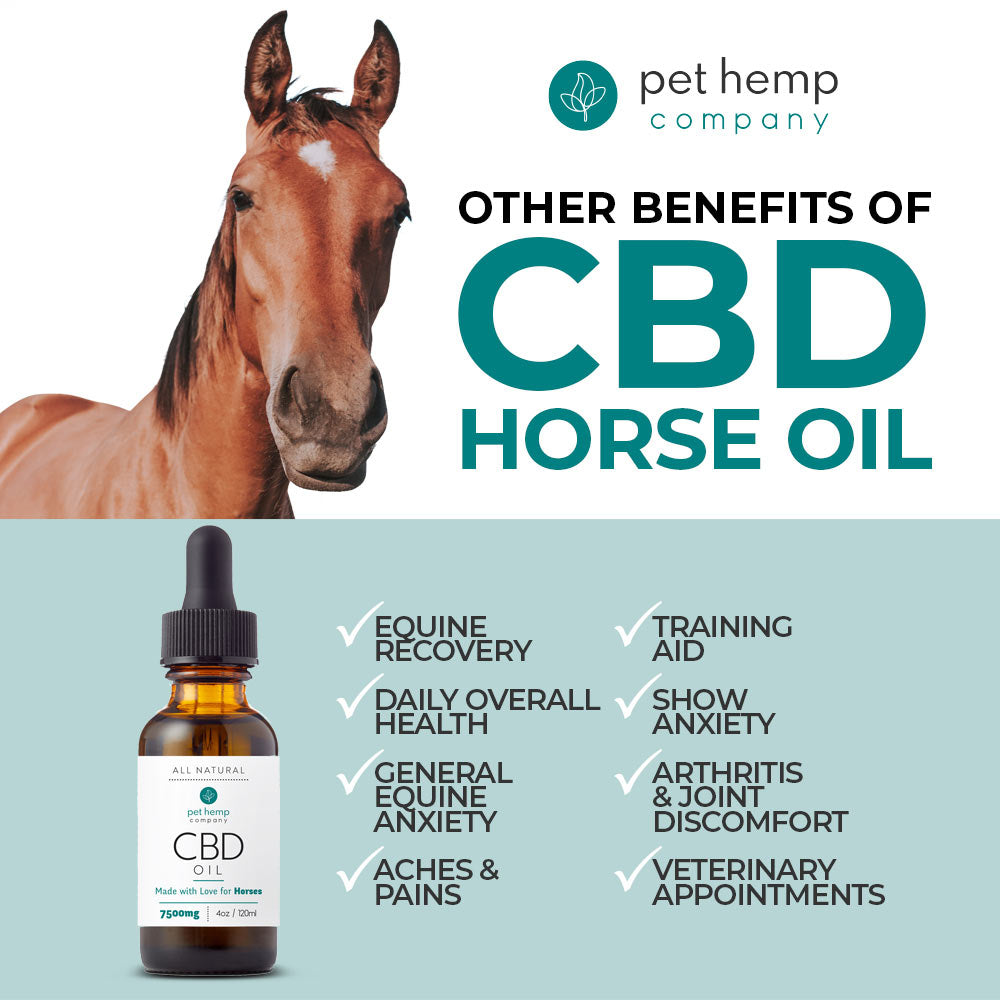 CBD Oil for Horses – 7500mg