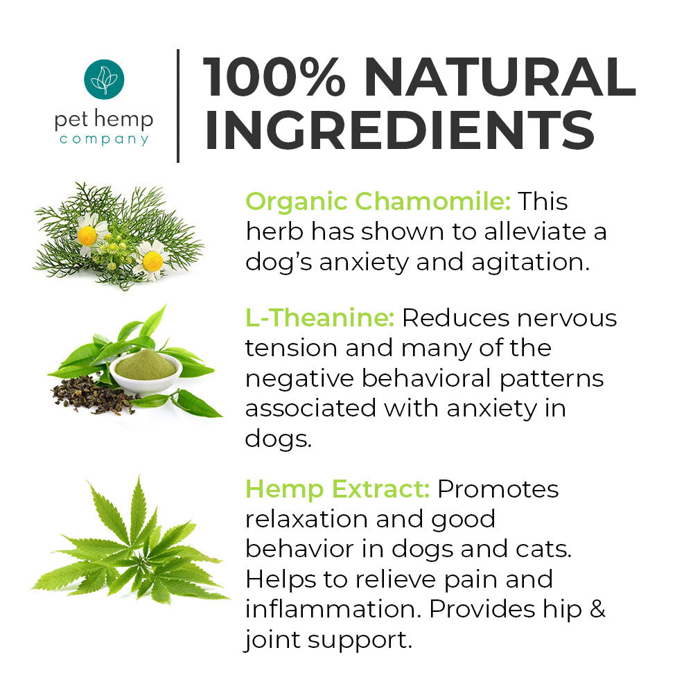 Calming Treats For Dogs: CBD Soft Chews – RELAX
