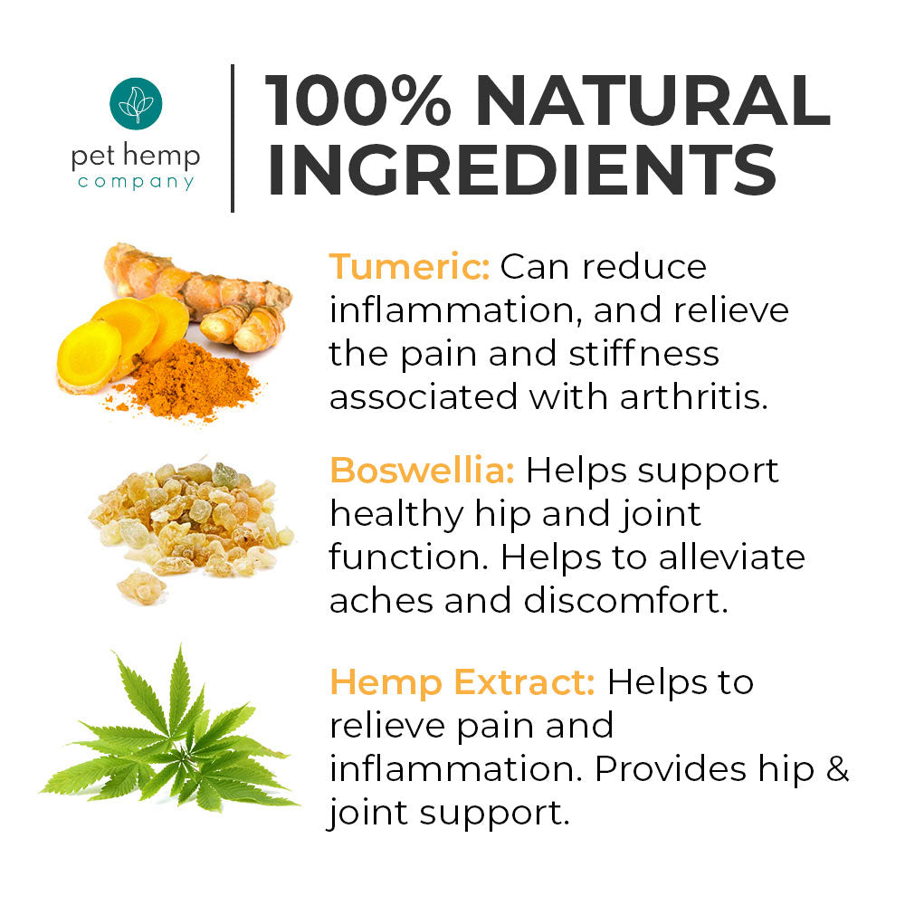 Cbd dog treats for joint outlet pain